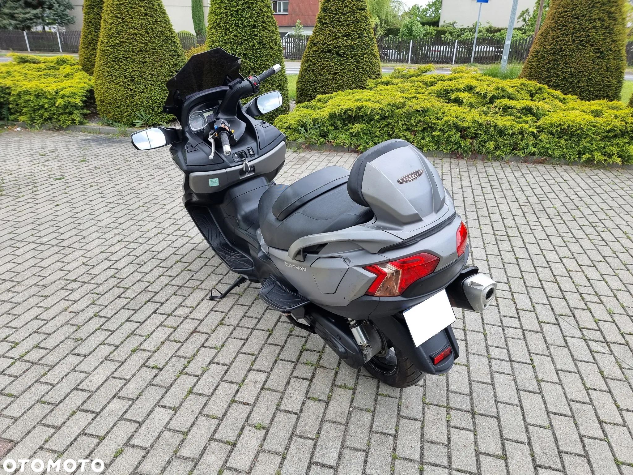 Suzuki Burgman - 12