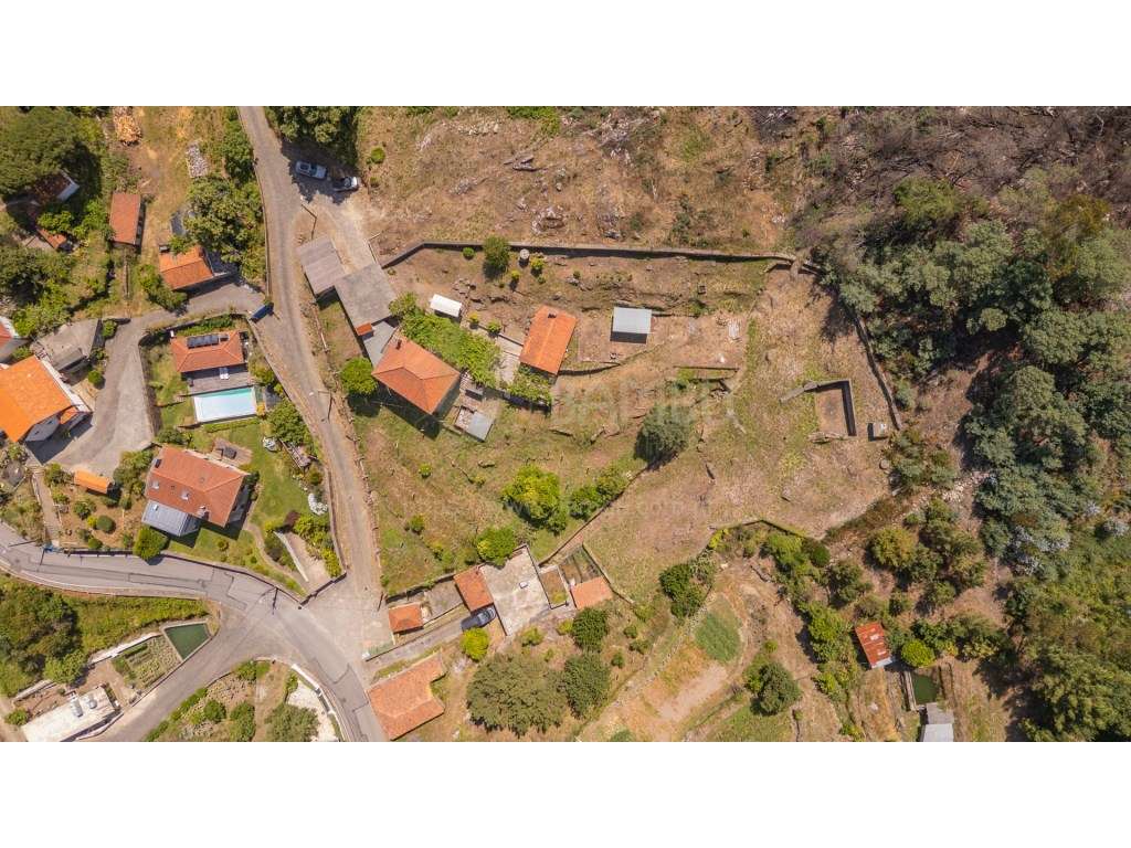Quintinha com 3616m2 de terreno em Azevedo - Grande imagem: 5/31