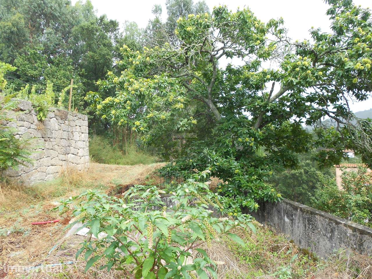 Terreno em Penafiel - Grande imagem: 5/27
