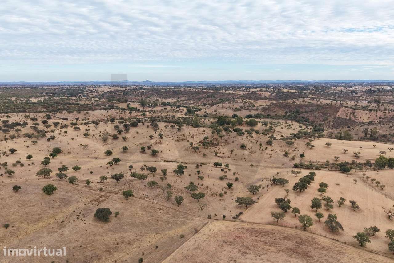 TERRENO RÚSTICO EM SERPA  COM 7,6250 HA COM BARRAGEM - Grande imagem: 5/14