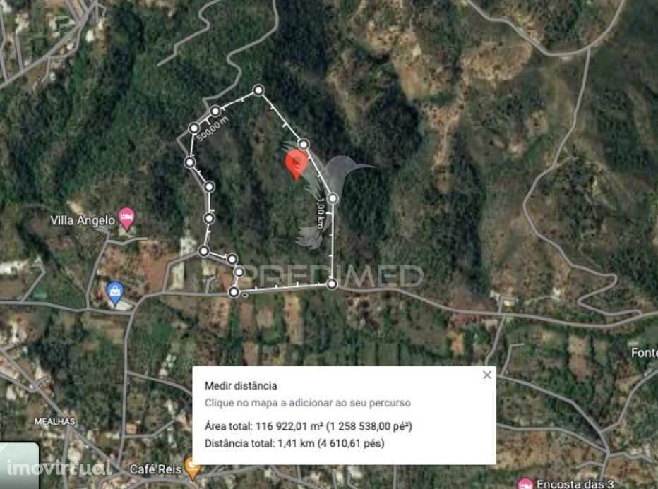 Terreno Rustico no Bico Alto - Grande imagem: 5/11