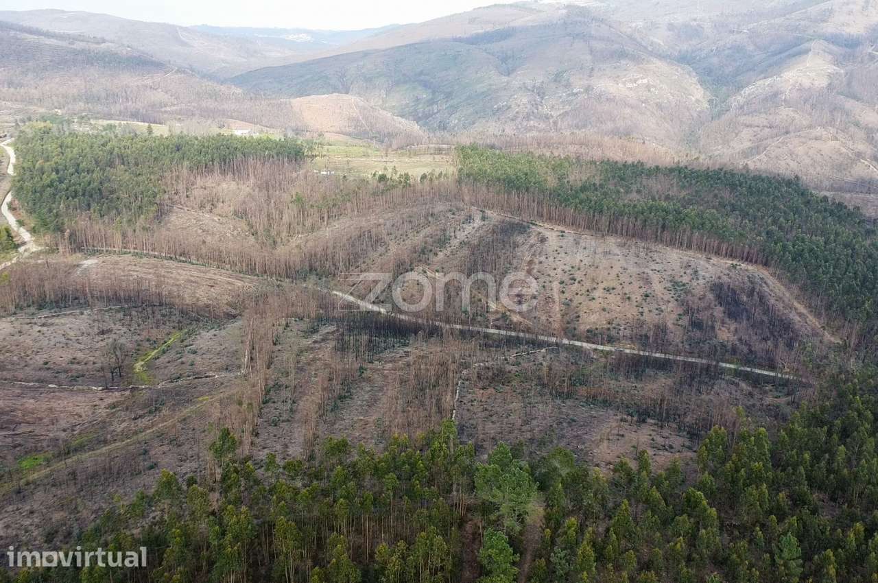 Terreno florestal urbanizável com 7.800 m2 - Rio Mau, Penafiel - Grande imagem: 4/9