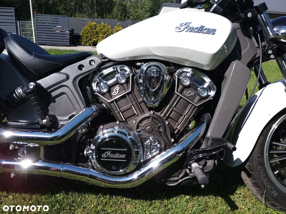 Indian Scout - 29