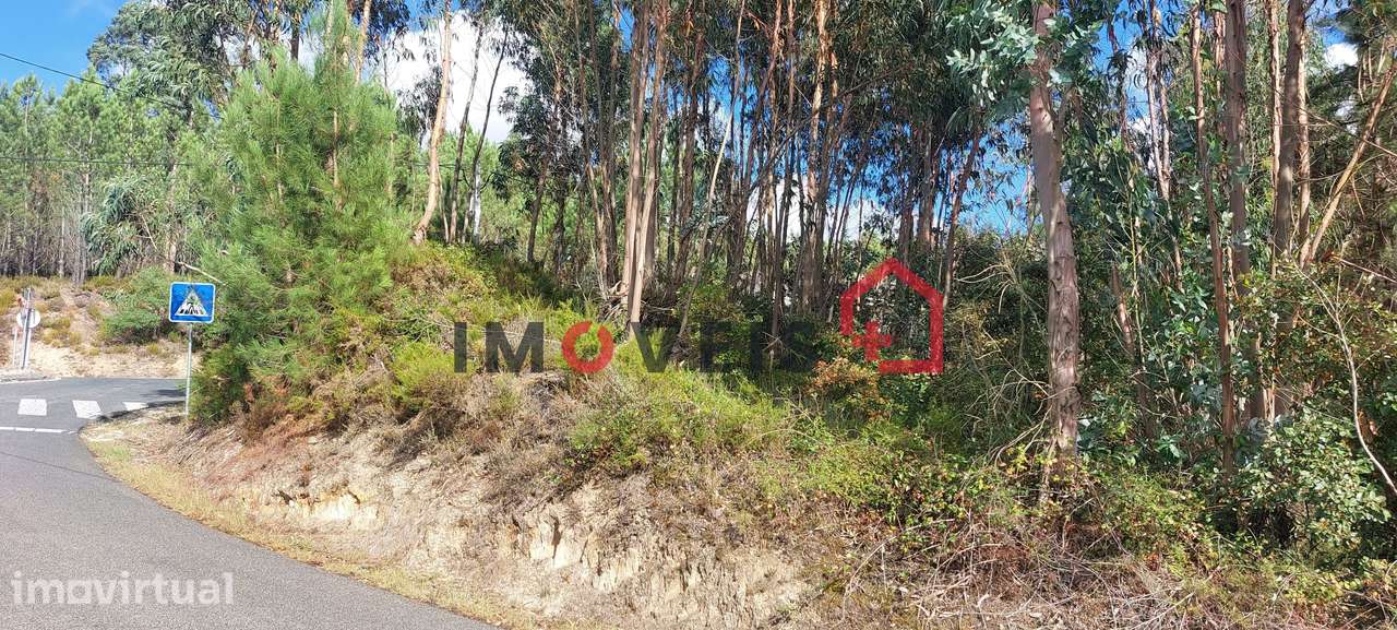 Terreno para construção com bons acessos. - Grande imagem: 3/6
