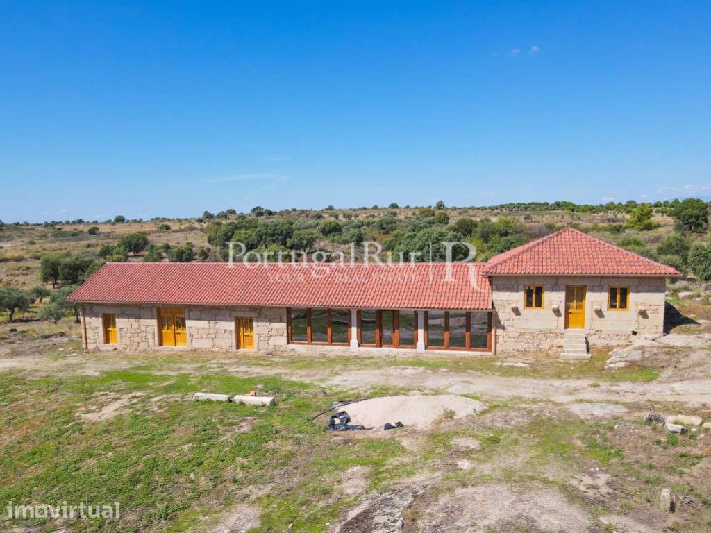 Quinta com 23.905 m² e casa em Monsanto - Grande imagem: 3/41