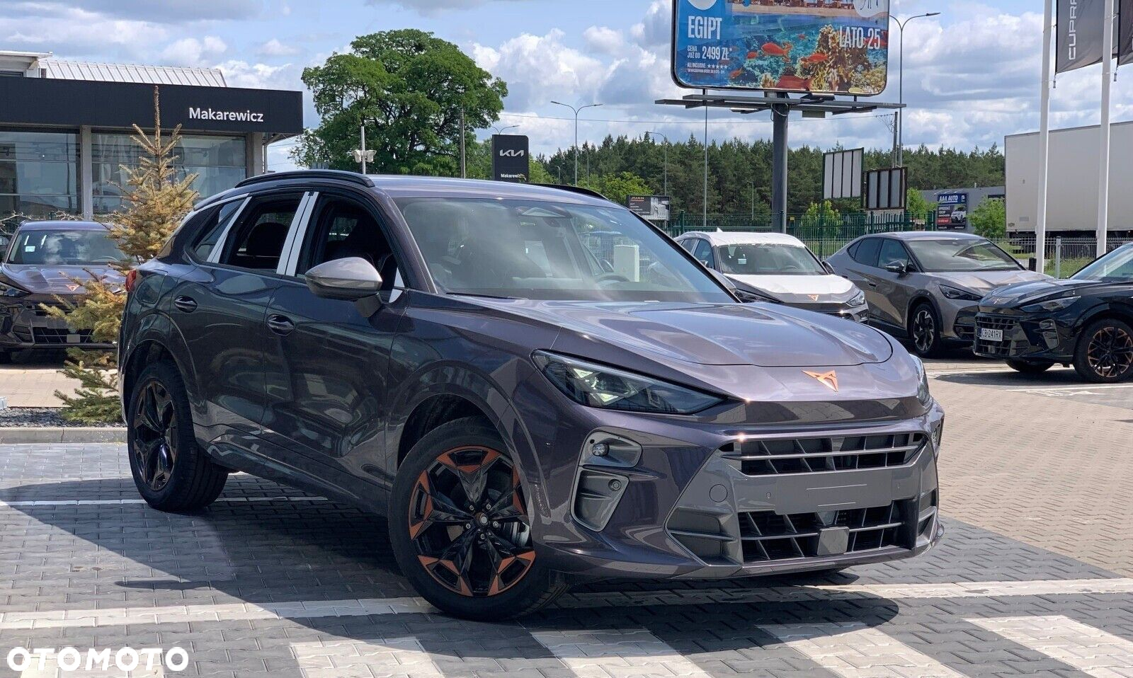Cupra Terramar - 3