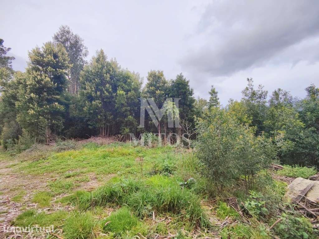 Terreno destinado a construção para venda em Venade - Caminha - Grande imagem: 3/6