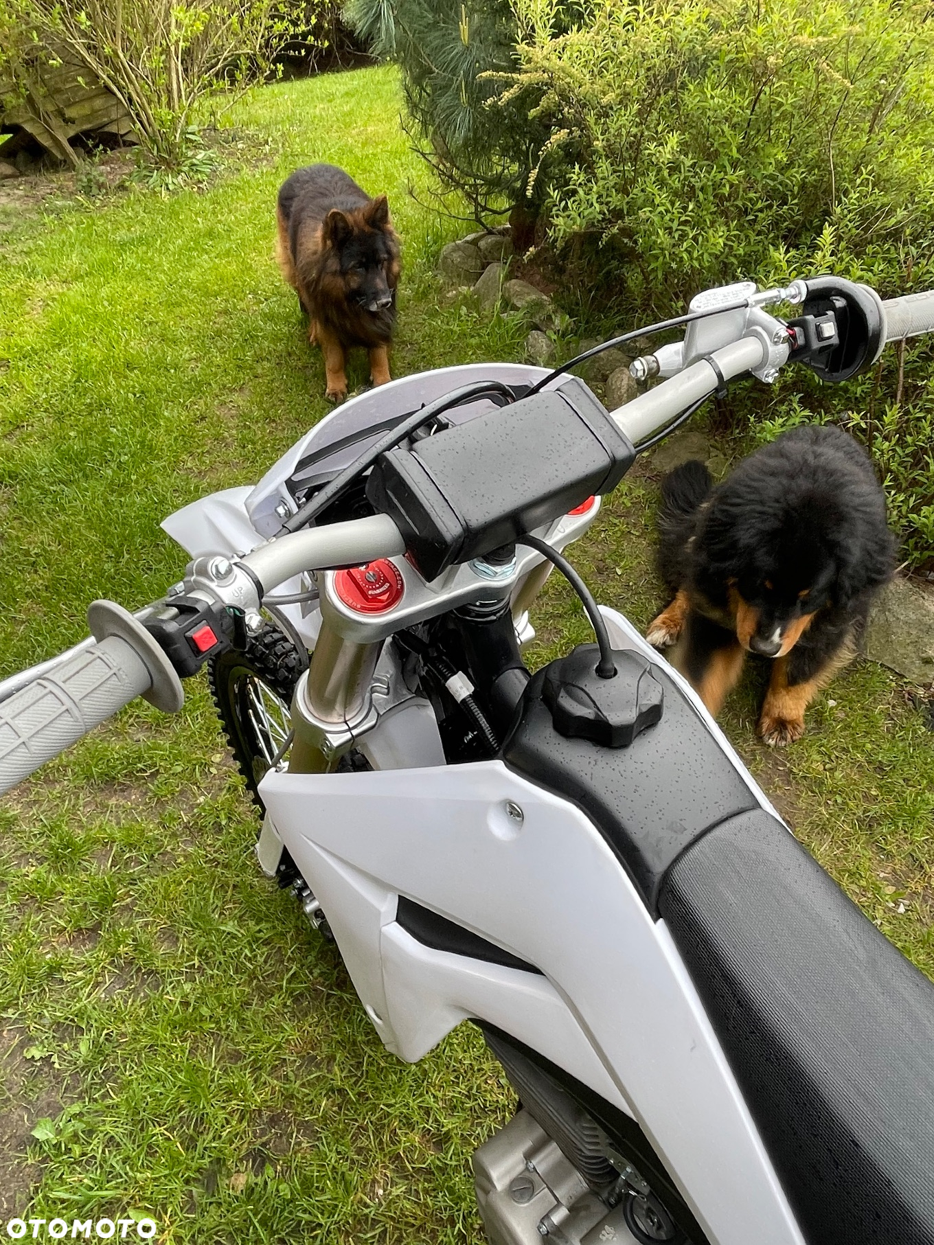 KAYO T4