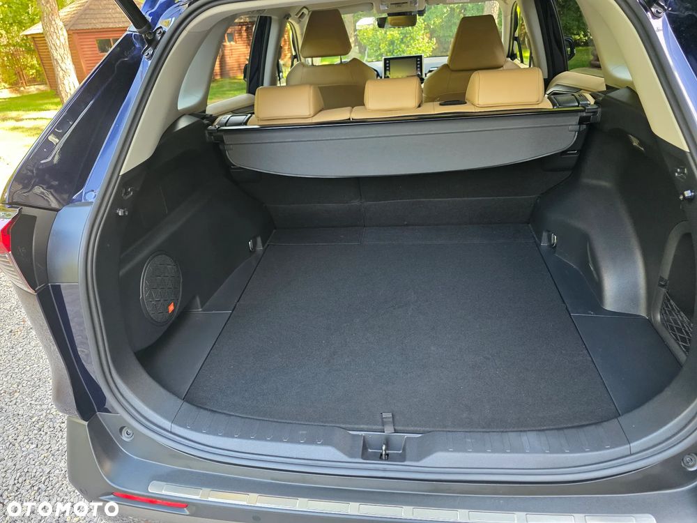 Toyota RAV4 2.5 Hybrid Executive 4x4 - 27
