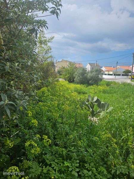 Terreno urbano construcao - Grande imagem: 3/3