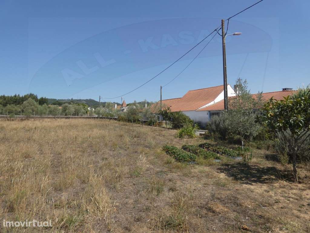 Terreno Rústico com 3000m2 em Alviobeira, Tomar - Grande imagem: 2/9