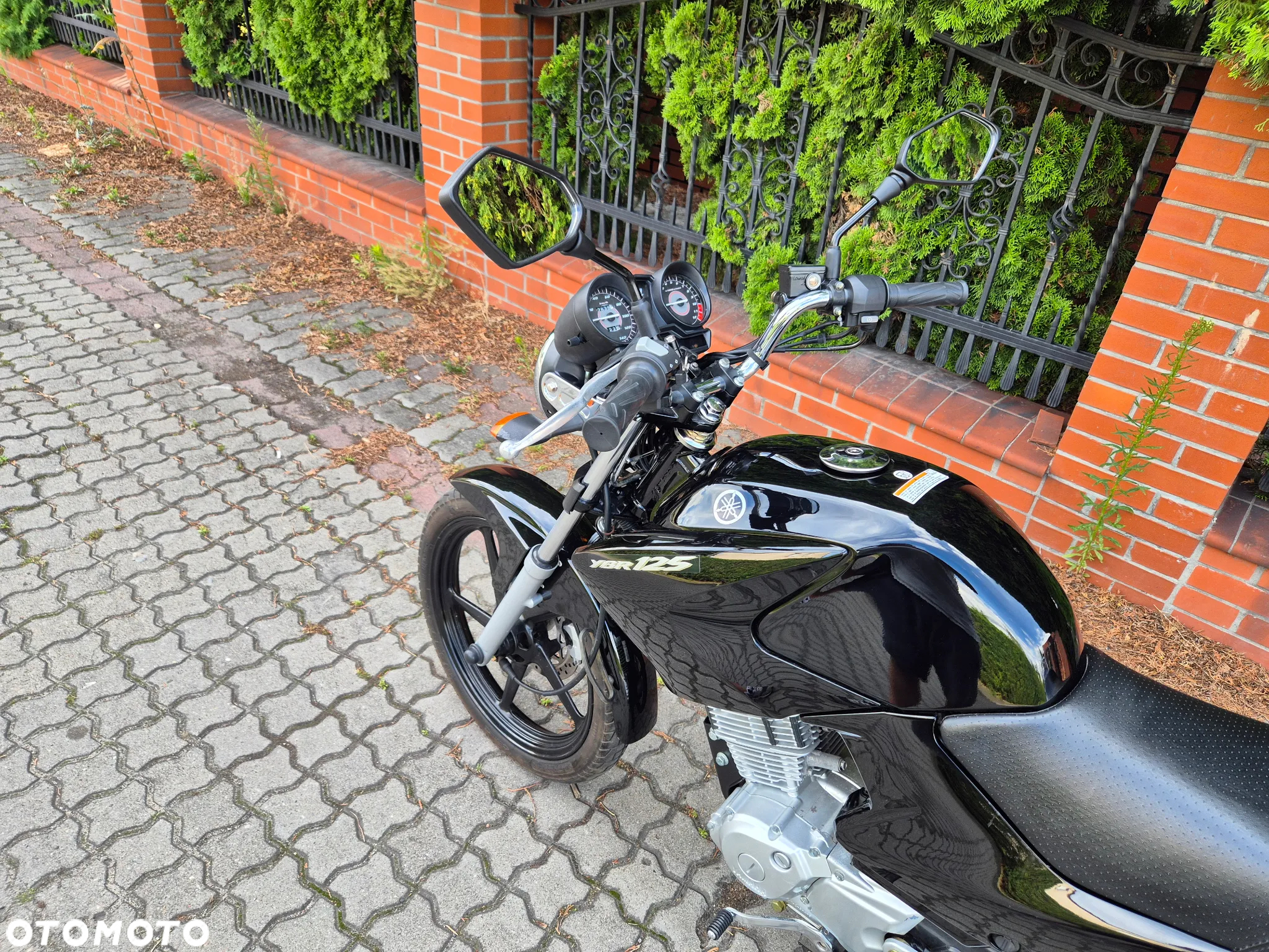 Yamaha YBR - 6