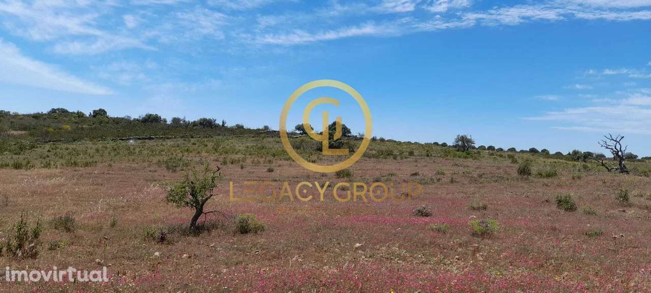 Terreno Rústico para Venda em Velhas, Giões – 5.230 m² - Grande imagem: 4/12