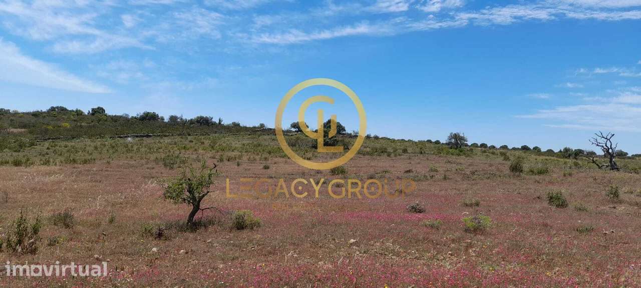Terreno Rústico para Venda em Velhas, Giões – 5.230 m² - Grande imagem: 4/12