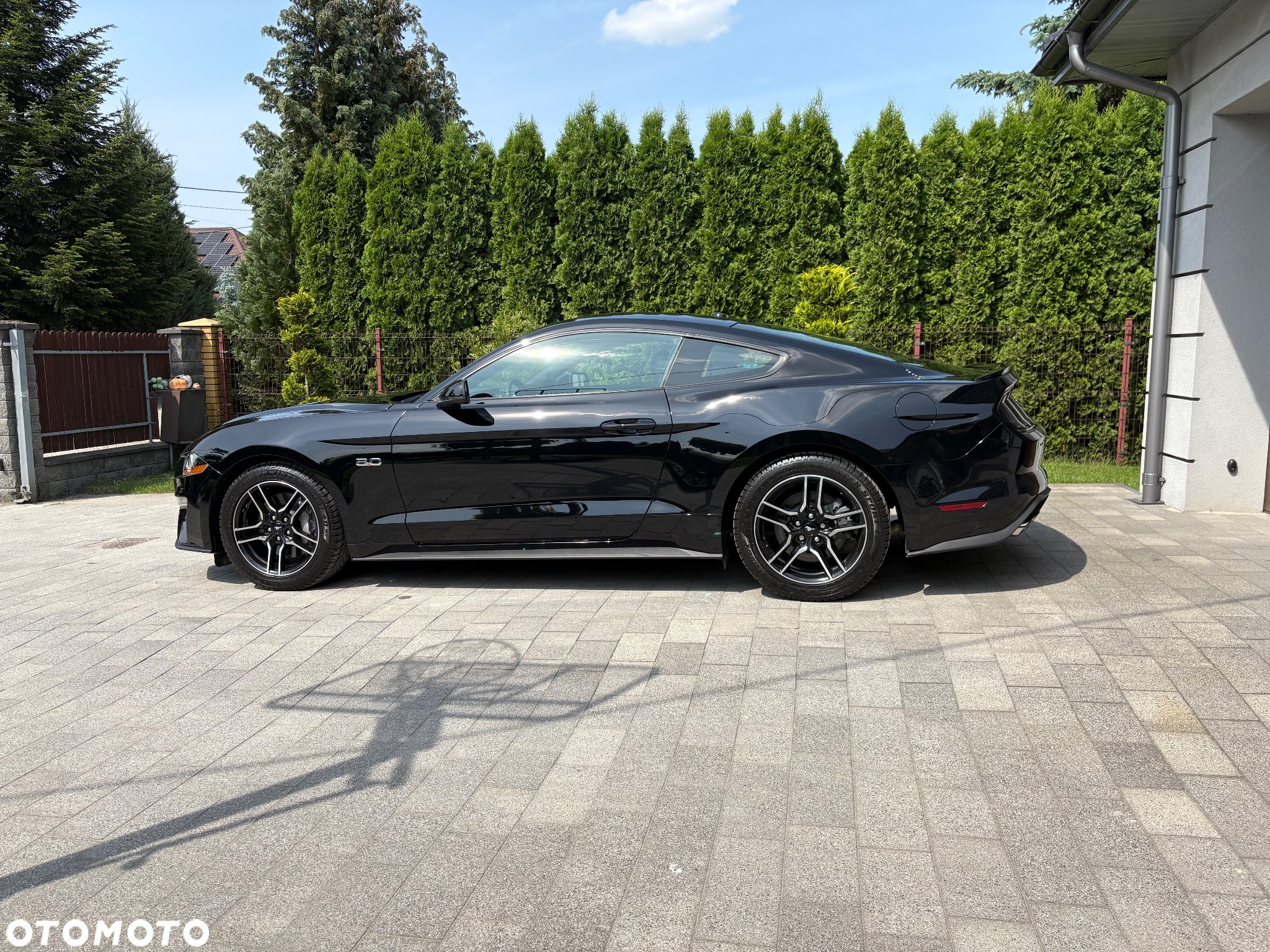 Ford Mustang Fastback 5.0 Ti-VCT V8 MACH1 - 3