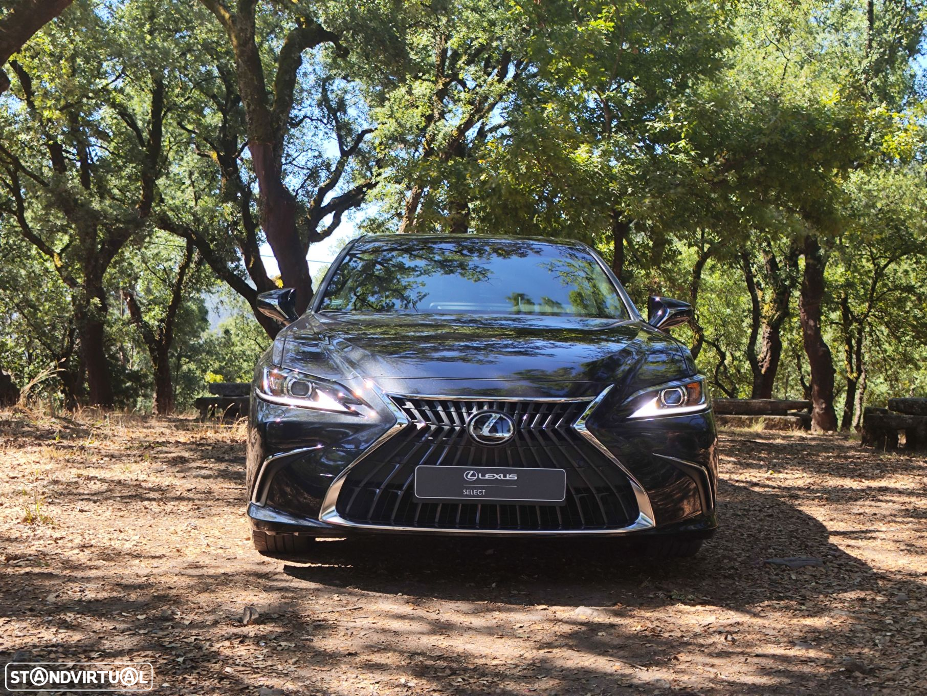 Lexus ES 300h Special Edition - 2