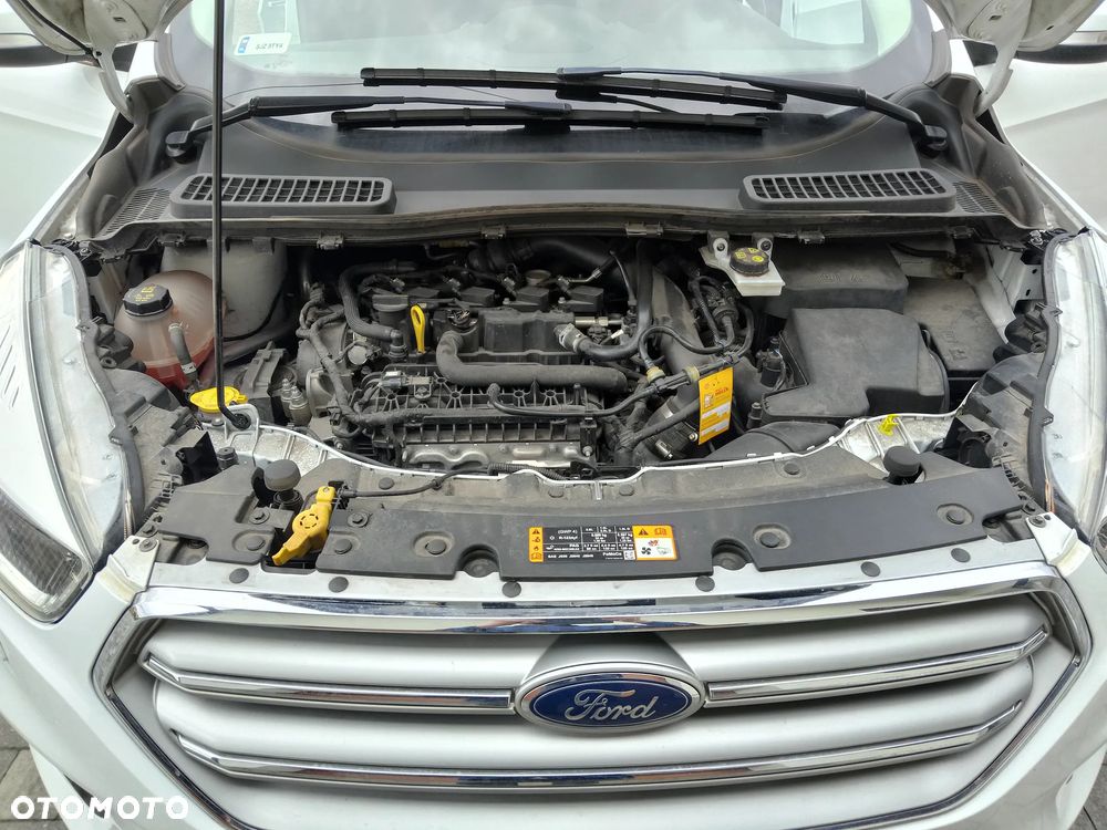 Ford Kuga 1.5 EcoBoost FWD Edition ASS GPF - 12