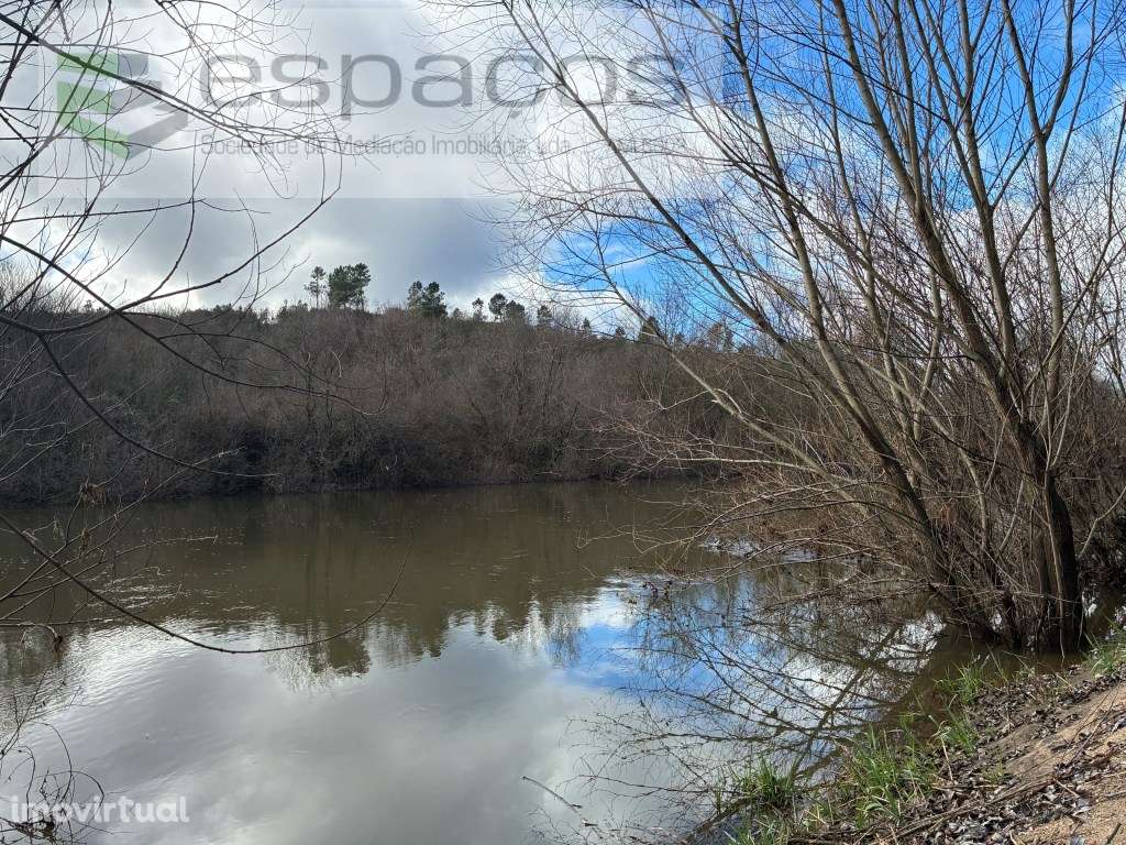 Magnifica Quinta a confinar com Rio Zêzere - Grande imagem: 2/38