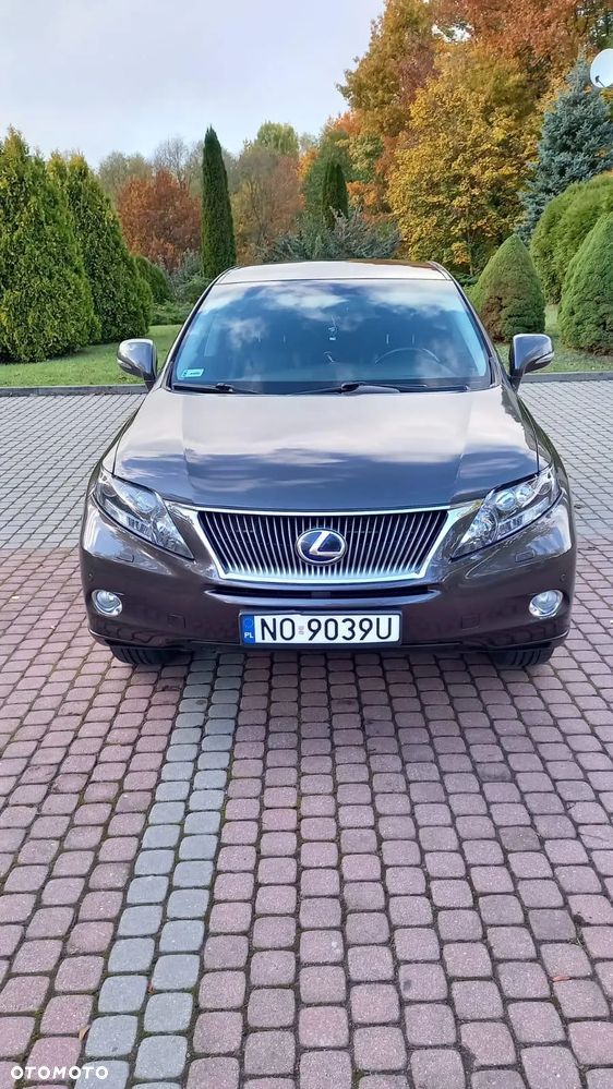 Lexus RX - 4