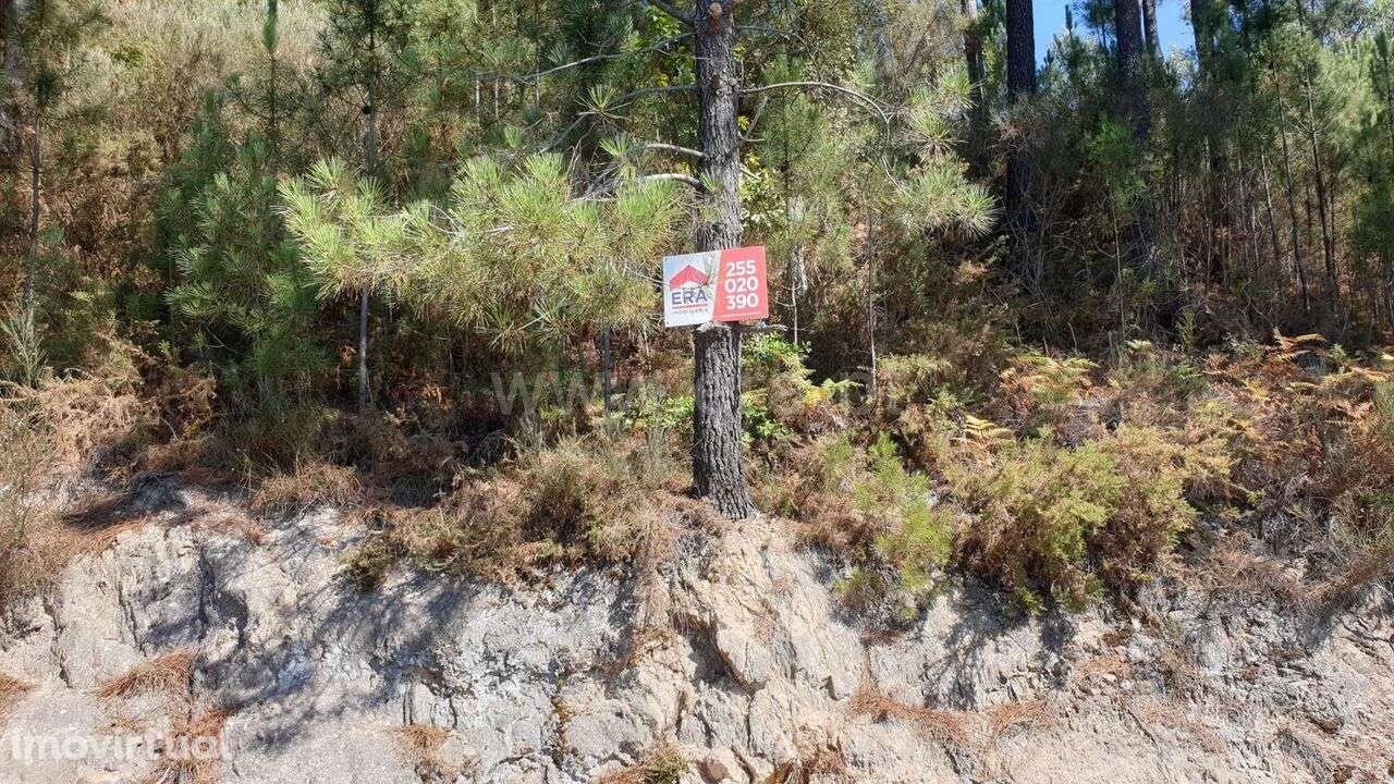 Terreno / Marco de Canaveses, Penhalonga e Paços de Gaiolo - Grande imagem: 4/4