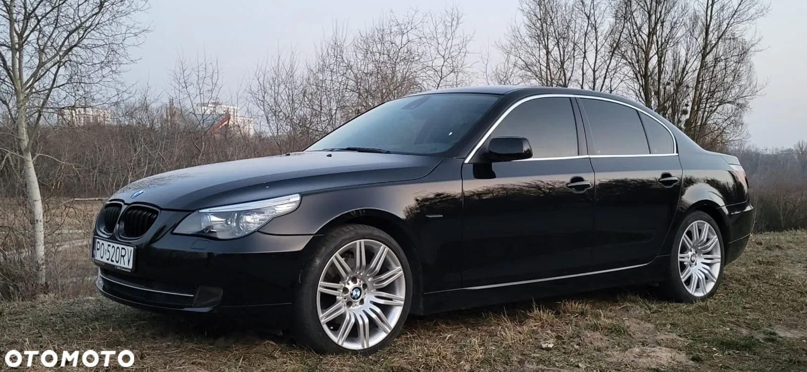 BMW Seria 5 520d - 1