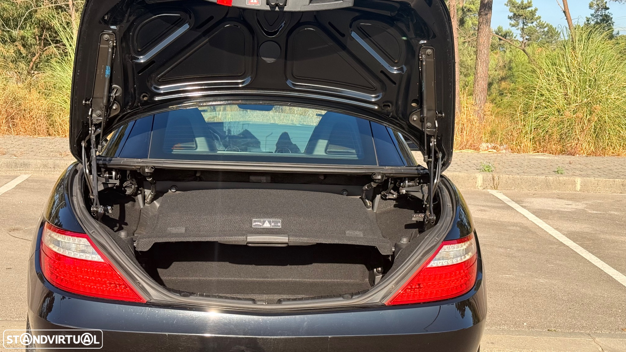 Mercedes-Benz SLK 250 CDI (BlueEFFICIENCY) - 15