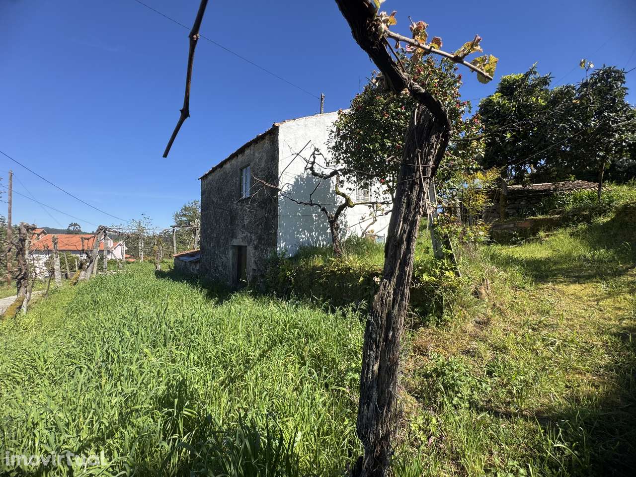 Moradia em granito p/ recuperar – Oliveira de Frades - Grande imagem: 3/35