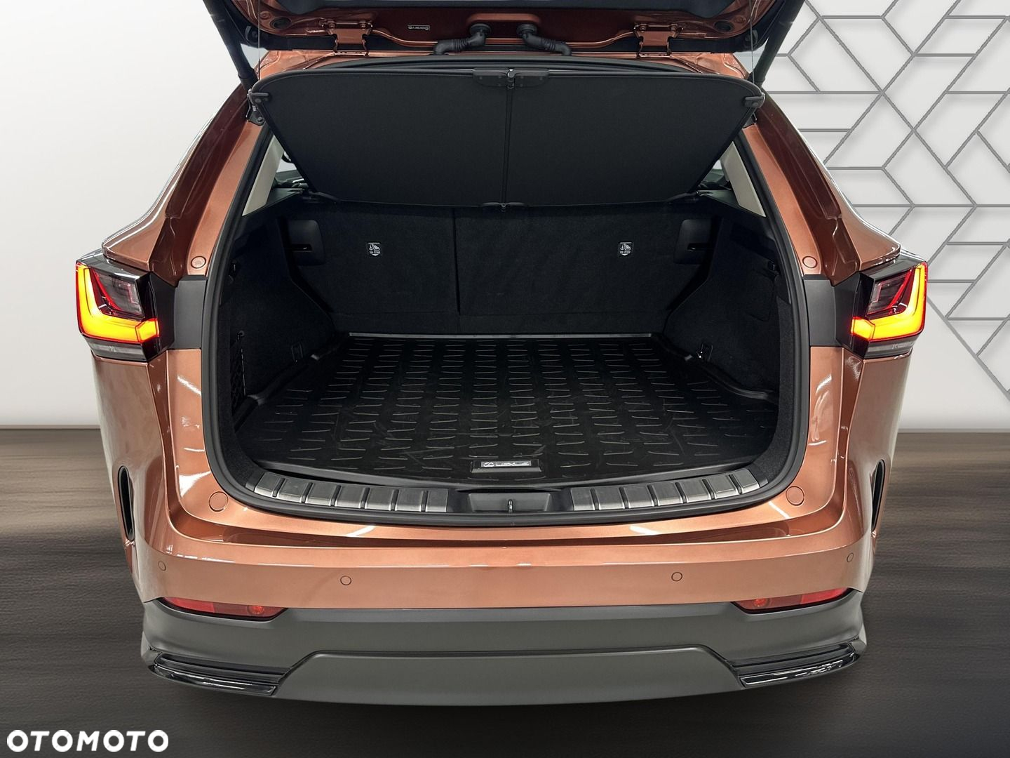 Lexus NX - 12