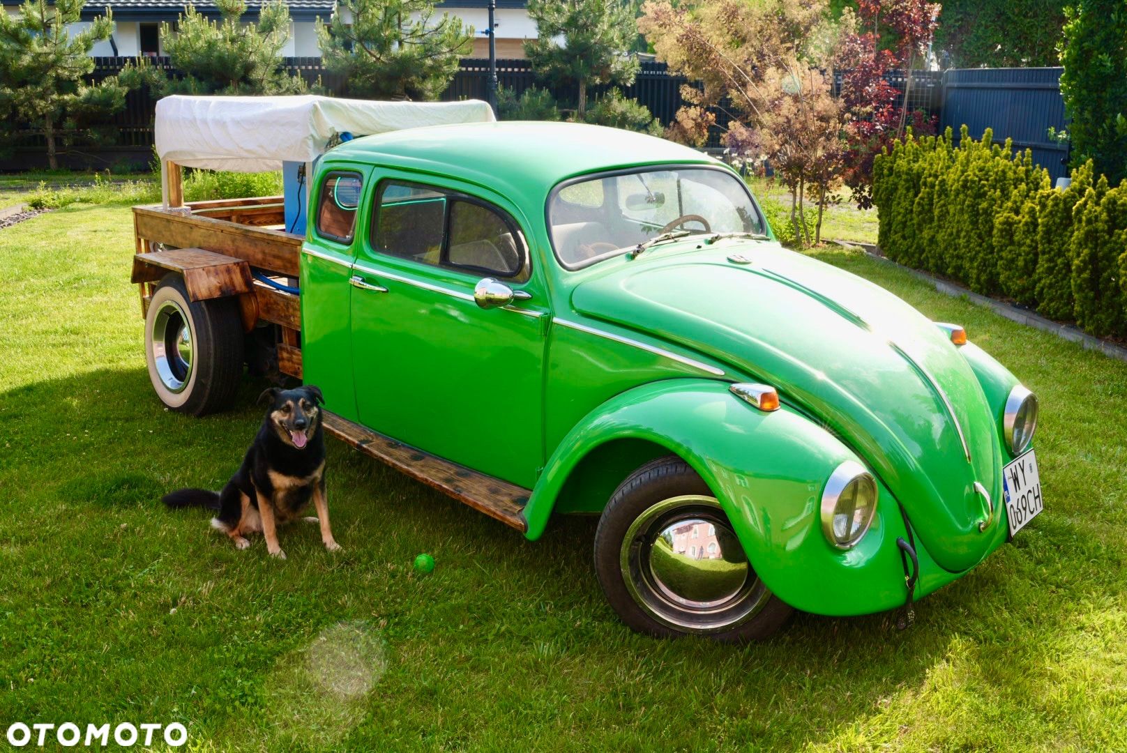Volkswagen Garbus - 1