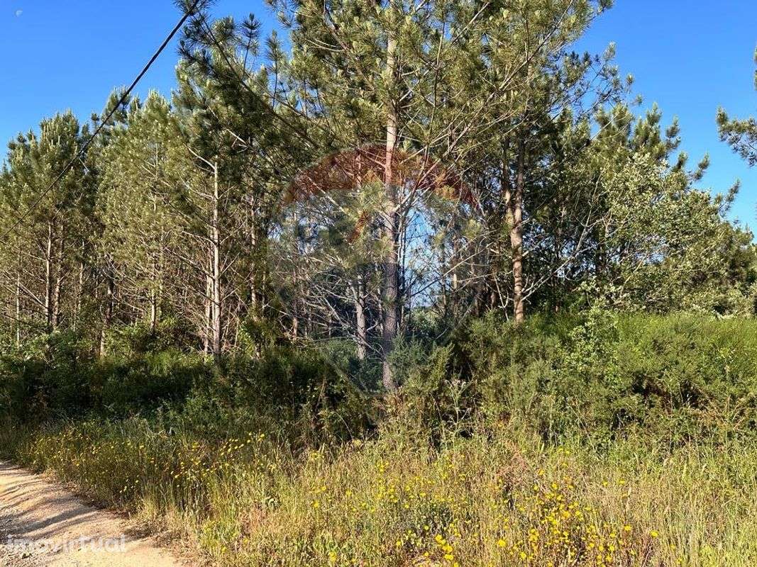 Terreno  para venda - Grande imagem: 2/8