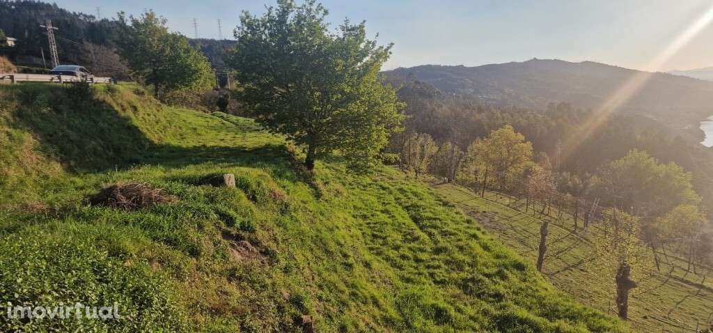 Terreno - Caniçada / Vieira do Minho - Grande imagem: 2/10