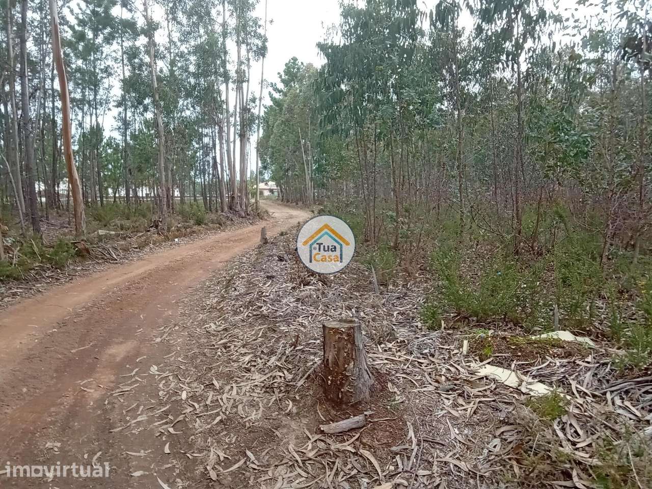 Terreno rústico com viabilidade de construção em Águeda - Grande imagem: 3/16