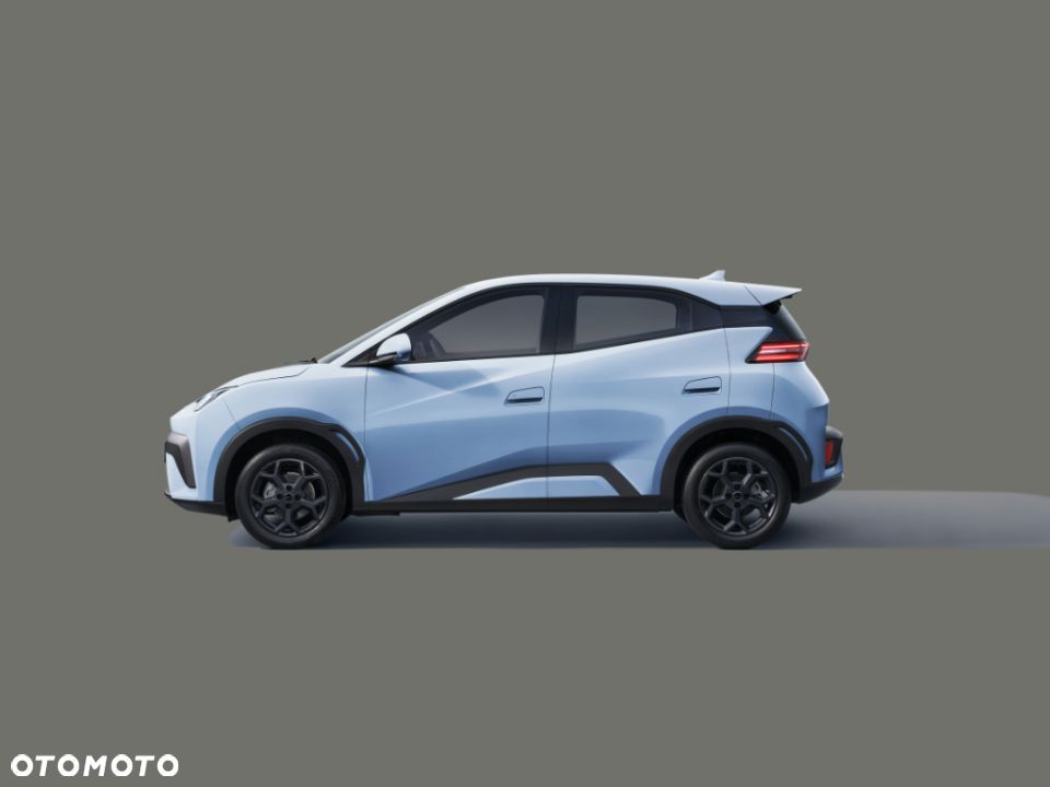 BYD Dolphin Surf - 2