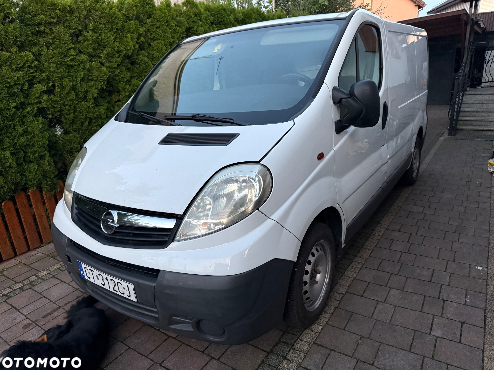 Opel Vivaro - 2