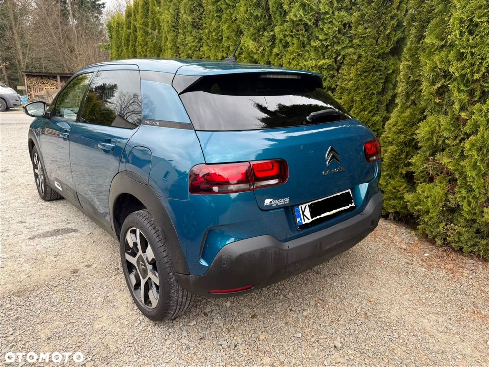 Citroën C4 Cactus PureTech 110 Stop&Start Origins - 16