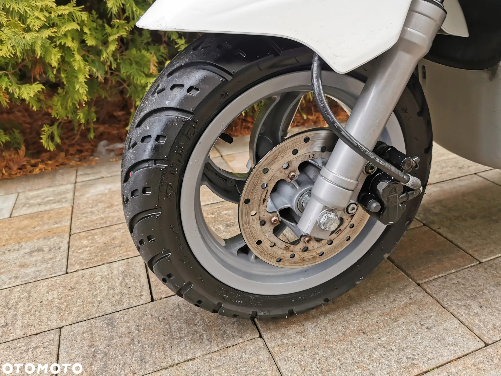 Piaggio FLY - 9