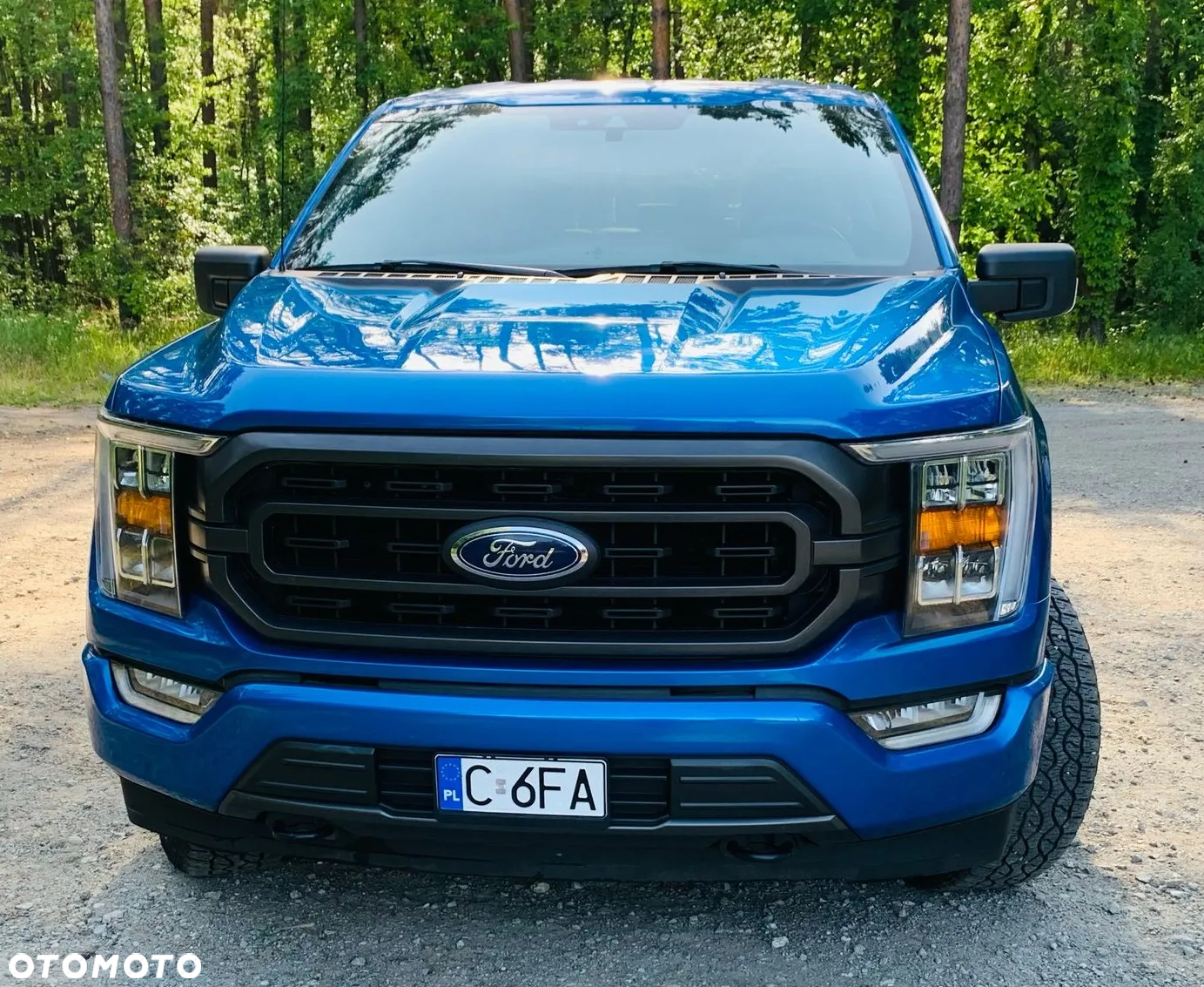 Ford F150 - 6