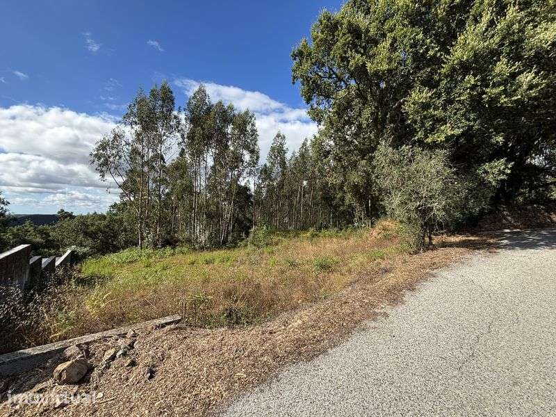 Vende se terreno para construção - Grande imagem: 4/8