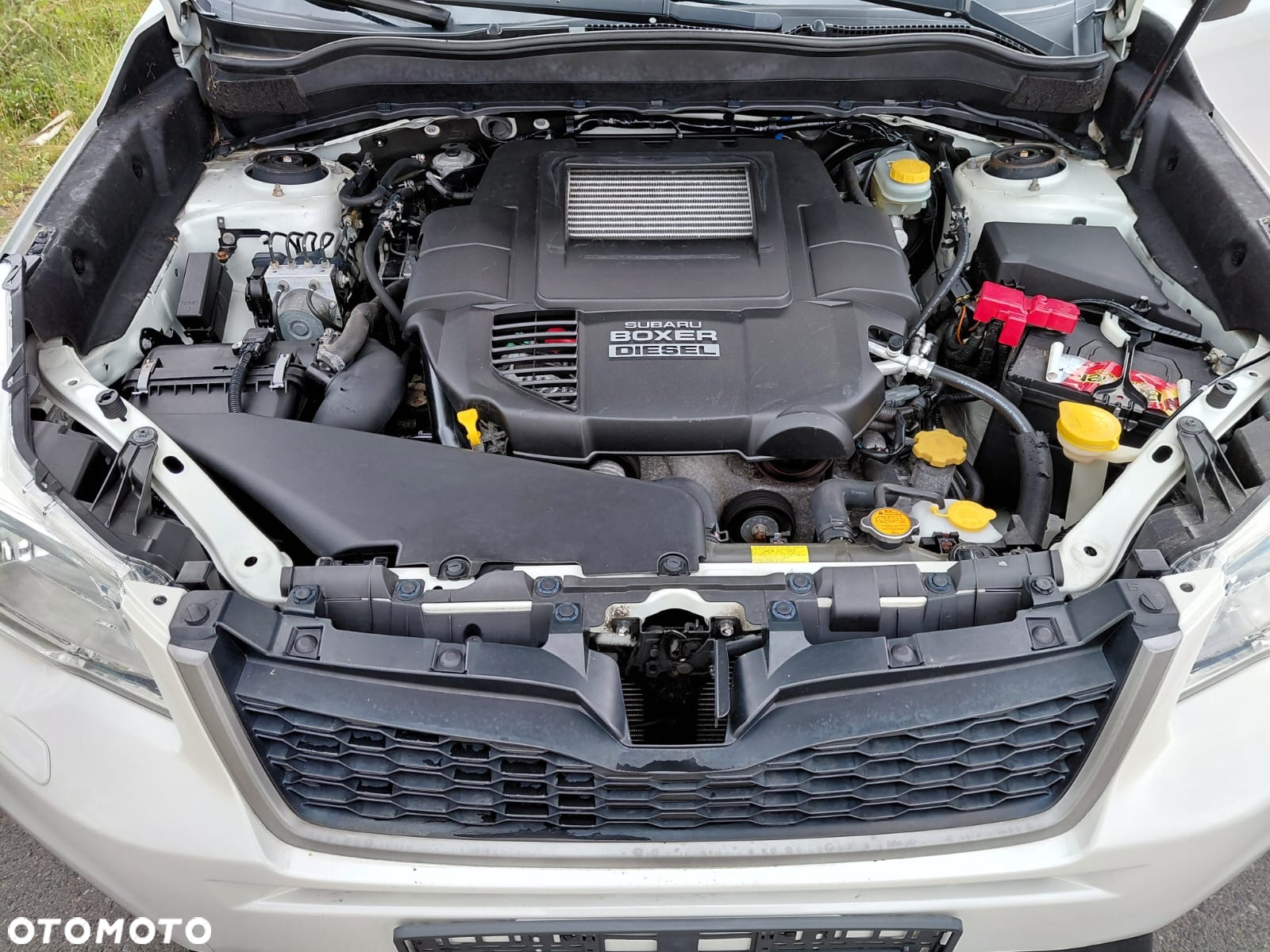 Subaru Forester 2.0D Exclusive EU6 - 12