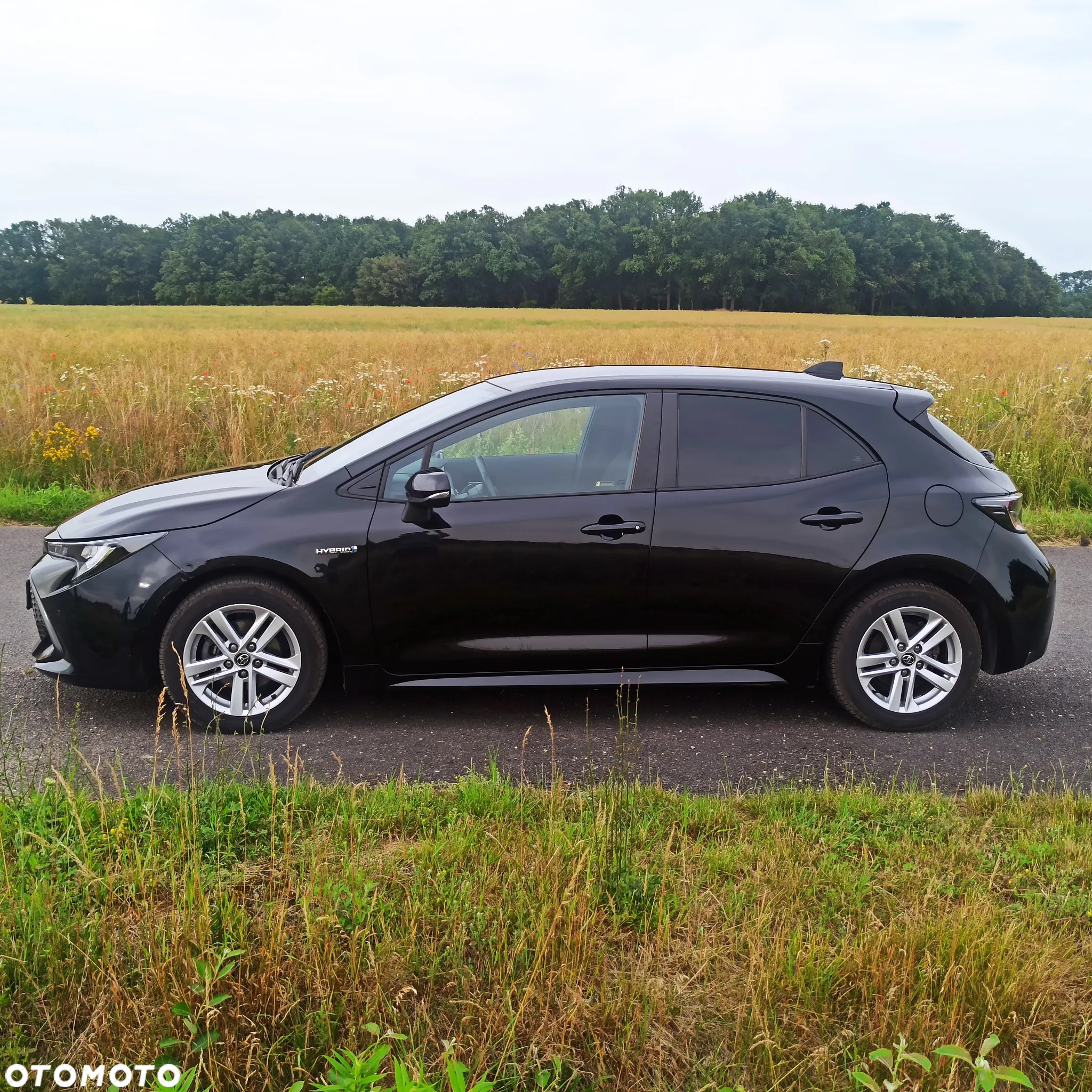 Toyota Corolla - 5