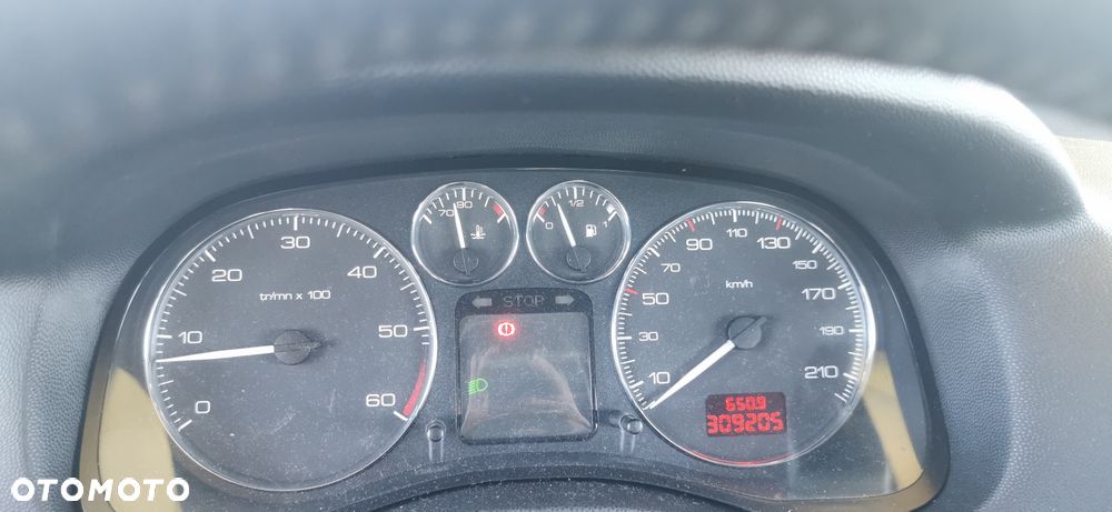 Peugeot 307 - 6