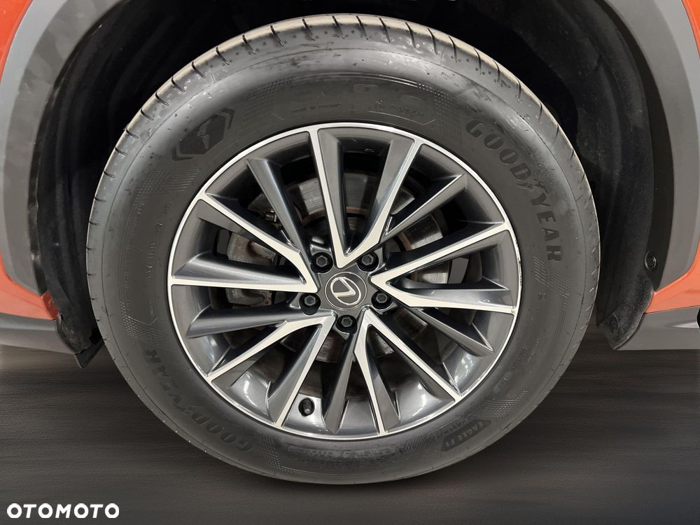 Lexus NX 350h Business AWD - 22