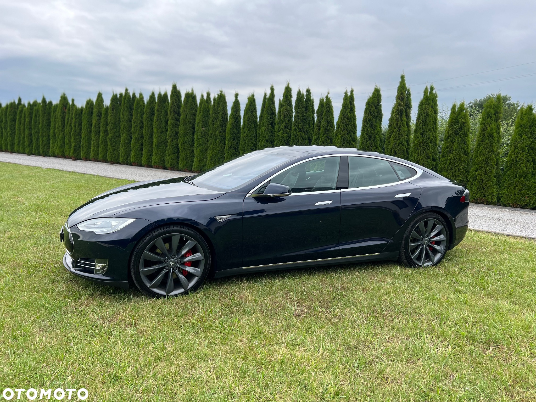 Tesla Model S Performance - 7