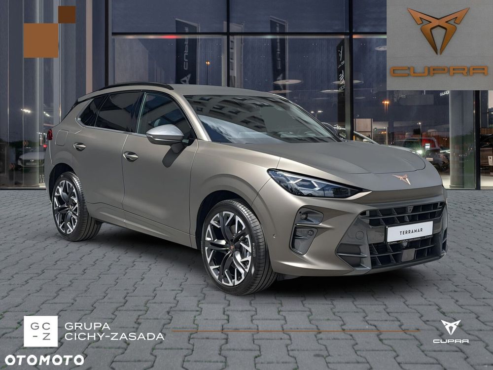 Cupra Terramar - 10