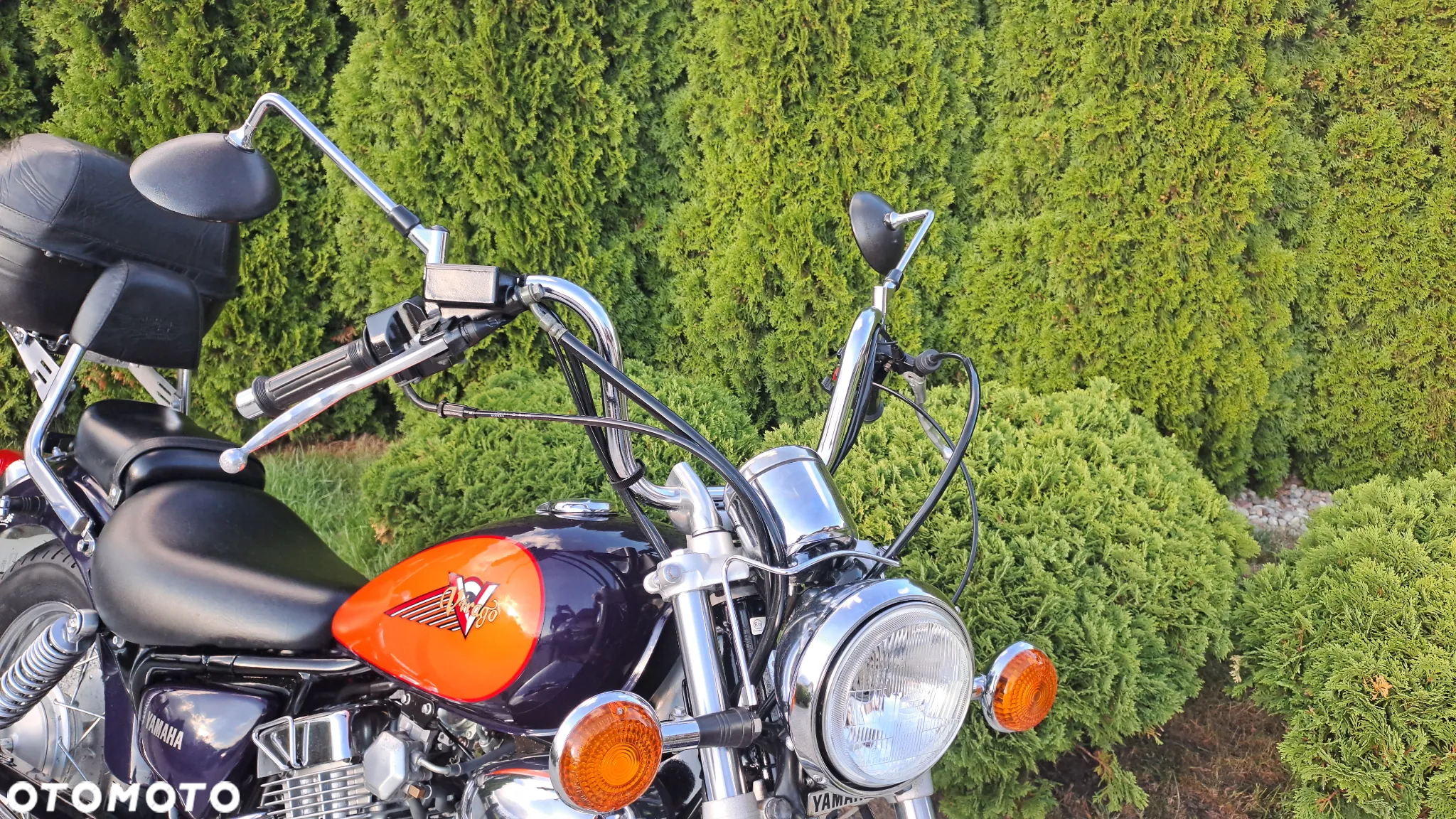 Yamaha Virago - 8