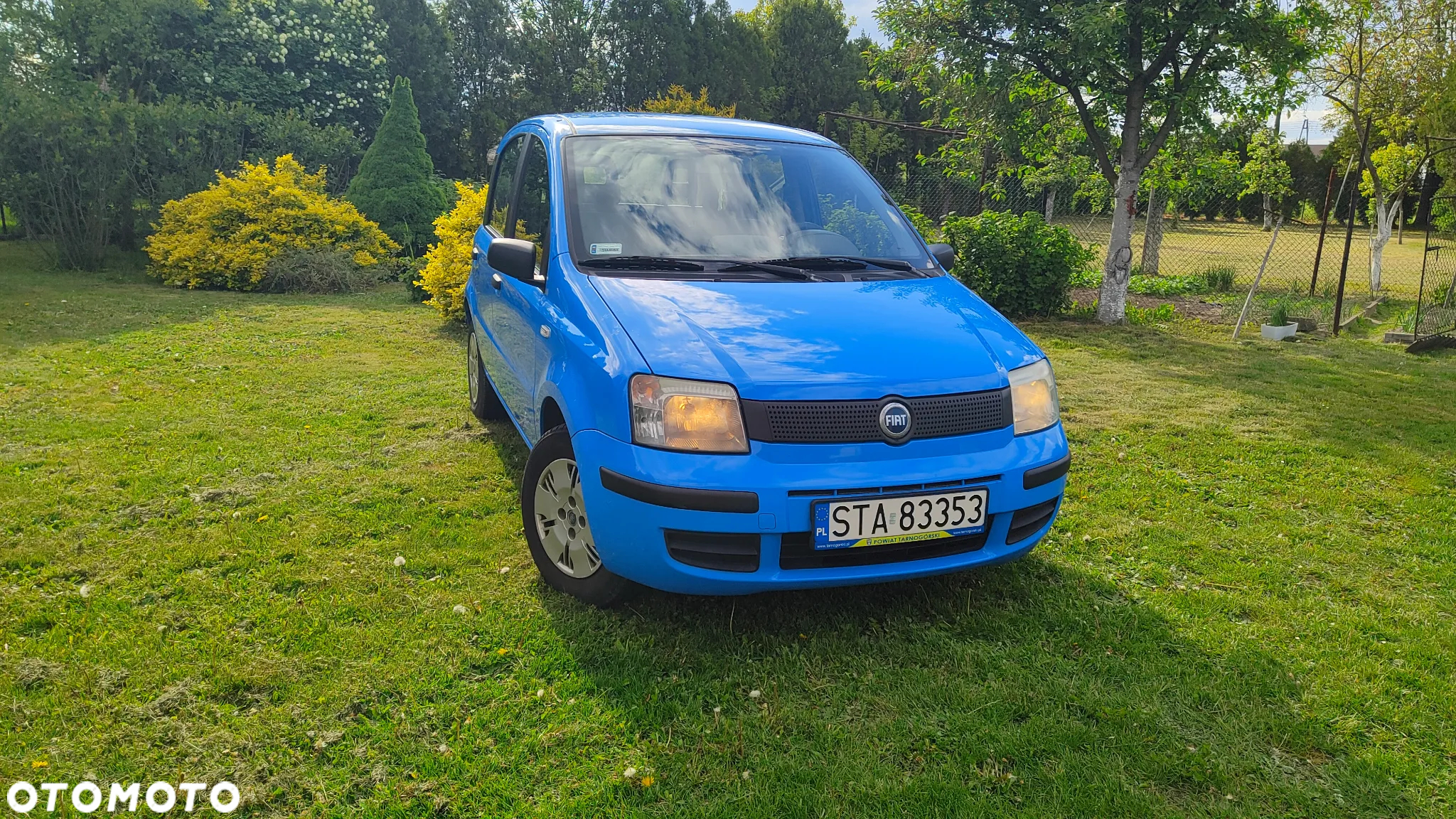 Fiat Panda - 3