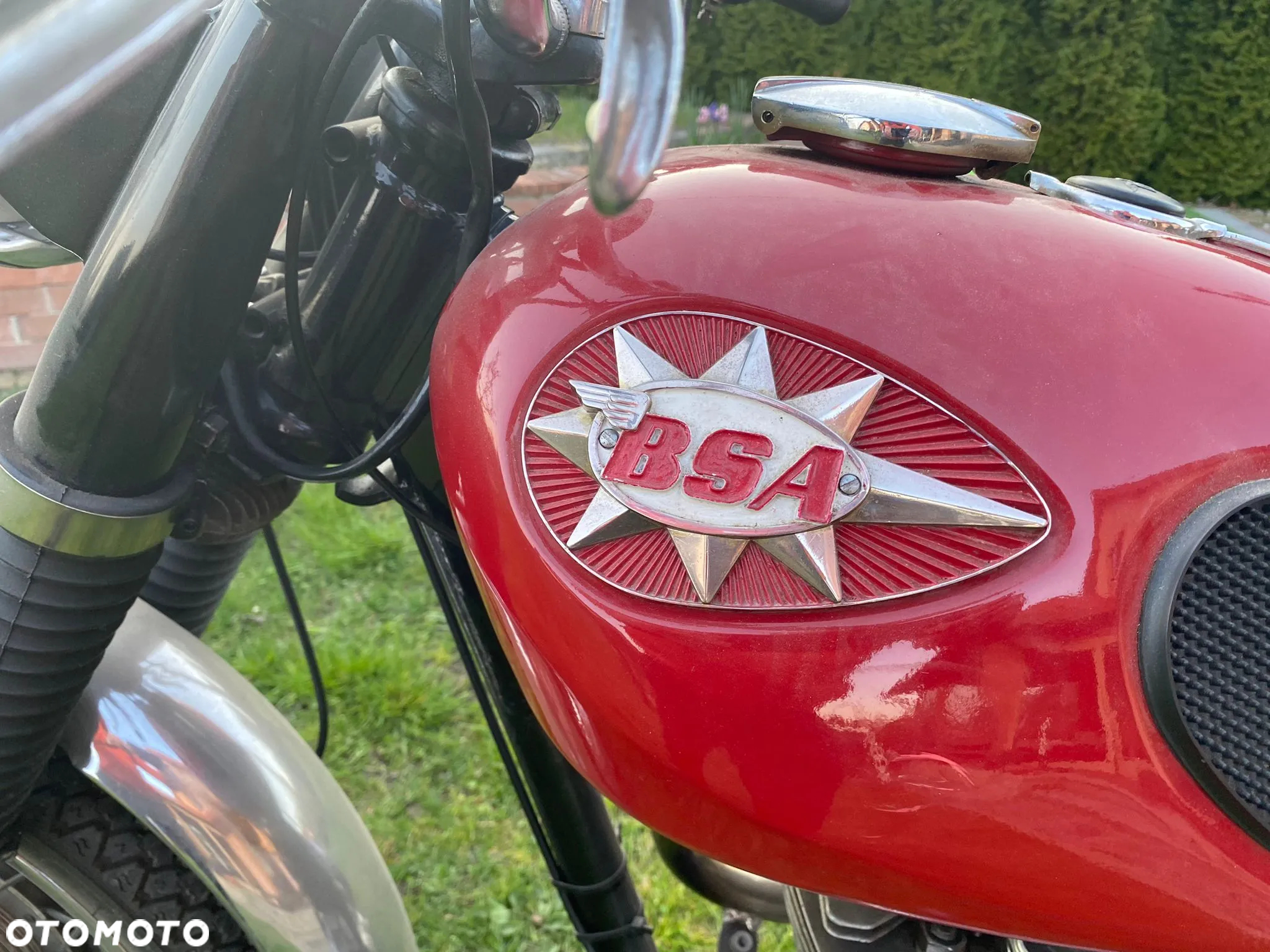 BSA Inny - 12
