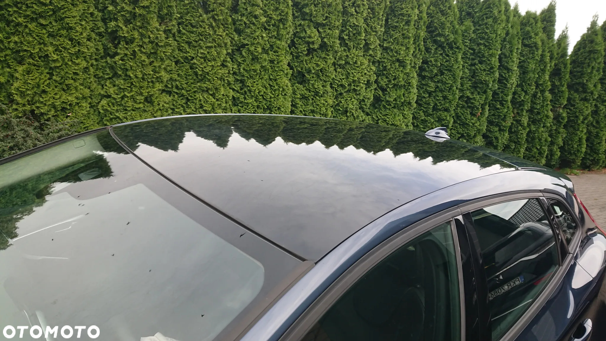 Volvo V40 - 5
