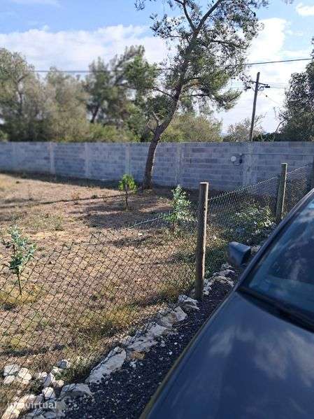 Terreno com contentor - Grande imagem: 4/4