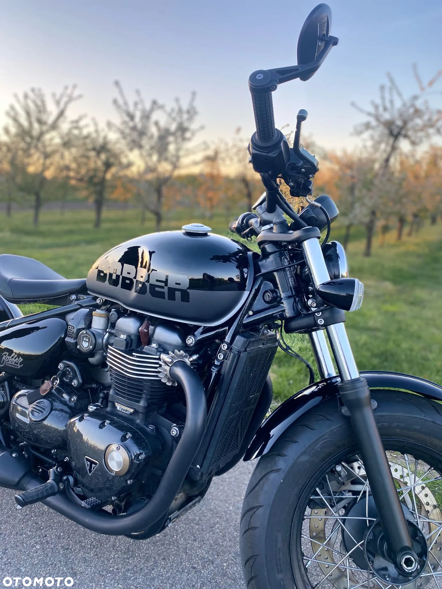 Triumph Bonneville Bobber - 8